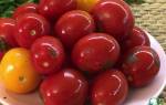 Как посолить красные помидоры в кастрюле