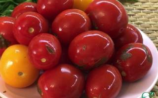 Как посолить красные помидоры в кастрюле