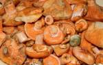 Сколько варить грибы рыжики перед маринованием