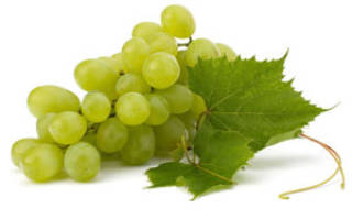 Сколько надо винограда на 3 литра вина
