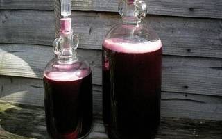 Можно ли из виноградного сока сделать вино