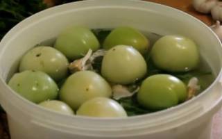 Рецепт соленых зеленых помидор в ведре