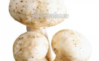 Пищевая ценность грибов шампиньонов