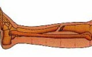 Основные приемы оказания первой помощи при переломах