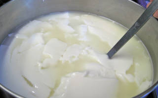 Почему не сворачивается молоко при производстве сыра
