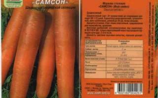 Морковь самсон характеристика и описание сорта