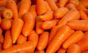 Как солить морковь на зиму в банках