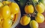 Томат лимон лиана характеристика и описание сорта
