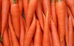 Как убрать морковь на хранение