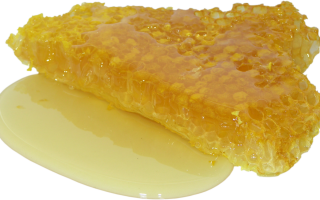 Способы проверить мед в домашних условиях
