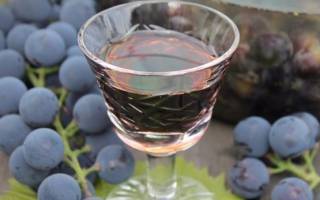 Настойка из винного винограда