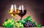 Поставить вино на винограде в домашних условиях