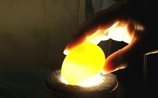 Овоскопирование перепелиных яиц по дням