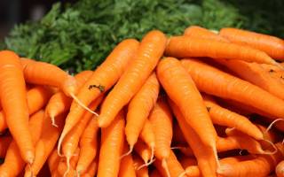 Сырая морковь польза и вред для организма