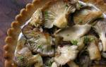 Как приготовить грибы вешенка на сковороде